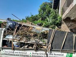 Best Residential Junk Removal  in Goodland, IN